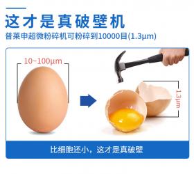 大型超微破壁粉碎機(jī)，為何要選普萊申？